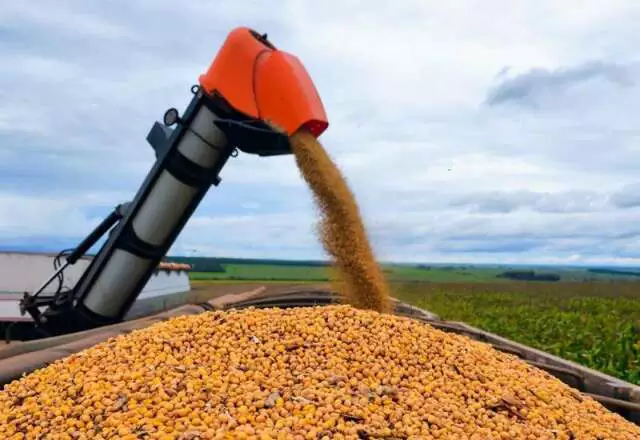 Colheita recorde na Argentina aumenta concorrência e acende alerta para produtores brasileiros