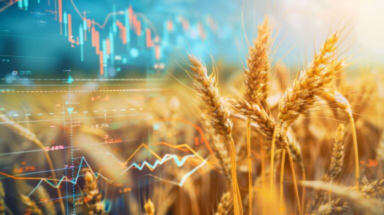 Agro monitora petróleo e fertilizantes enquanto mercados apostam em trégua temporária