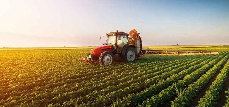 Por que apenas 2,6% das lavouras brasileiras estão cobertas pelo seguro rural?