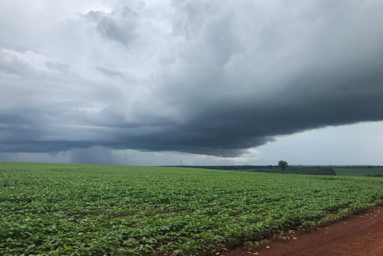Frio, seca e chuva irregular mantêm o agro em alerta, enquanto grãos avançam no mercado internacional