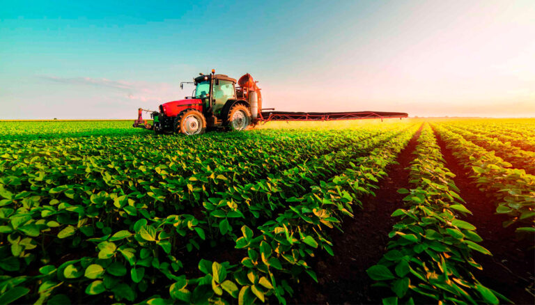 Sicredi Dexis libera R$ 385,9 milhões e crédito rural avança 94% em julho