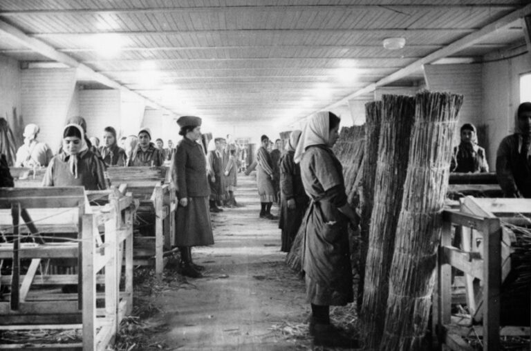 Senado debate memória do holocausto cigano e combate às perseguições étnicas