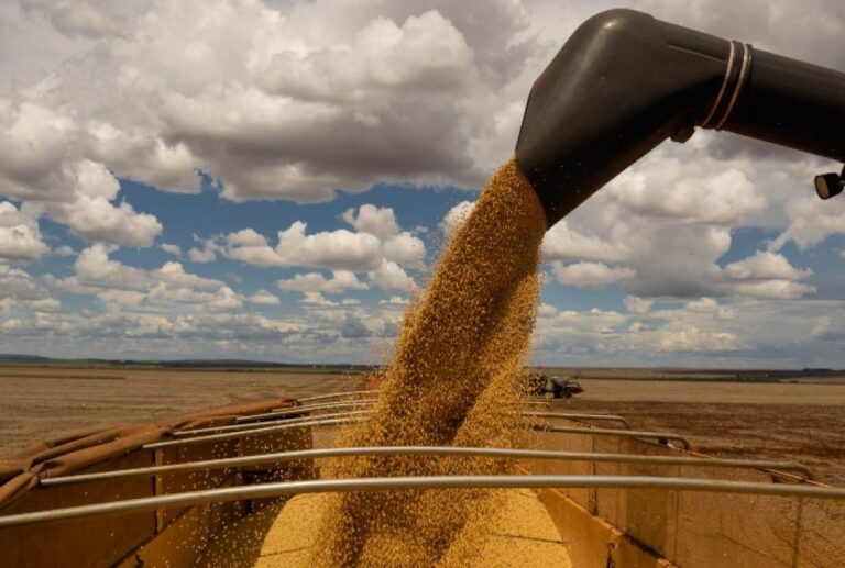 Mercado agro monitora clima, petróleo e relatório do USDA