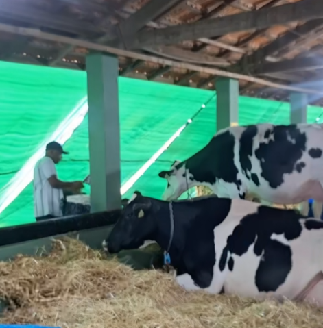 Soja e café avançam, milho recua na B3 e agro aguarda relatório americano